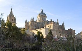 Ibis Salamanca
